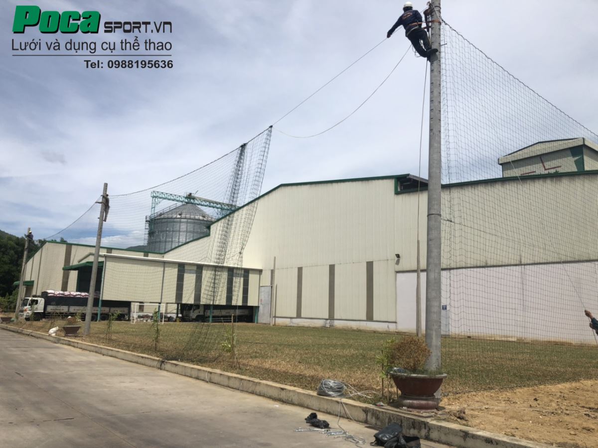 Cung cấp lưới rào chắn sân bóng đá cho công ty Greenfeed Việt Nam - CN Bình Định
